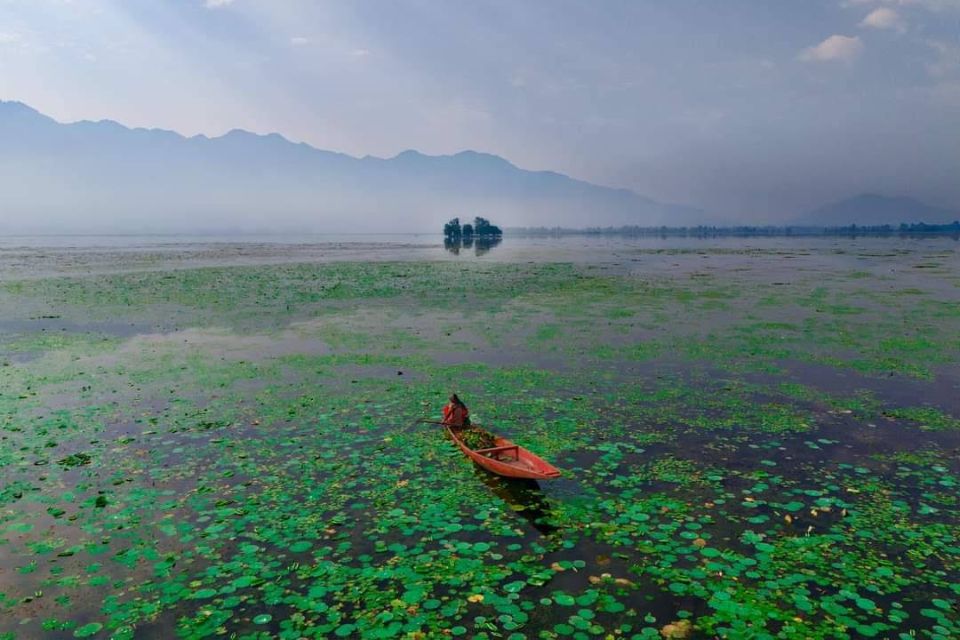 Dal Lake